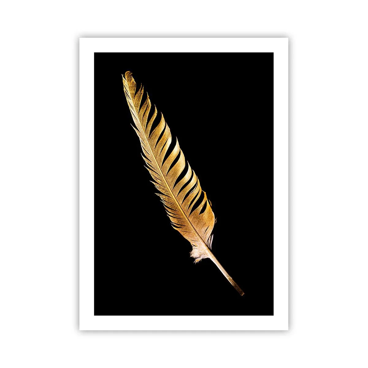 Poster - Goldene Feder auf schwarzem Hintergrund - 50x70cm - Er hat ein ungewöhnliches Schreibtalent ... - Moderne Wanddekoration für Wohnzimmer und Schlafzimmer ARTTOR