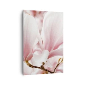 Bild auf Leinwand - Leinwandbild - Zarte Magnolienblüten in Pastelltönen - 70x100cm - Eine Fülle von Zärtlichkeit - Moderne Wanddekoration für Wohnzimmer und Schlafzimmer ARTTOR