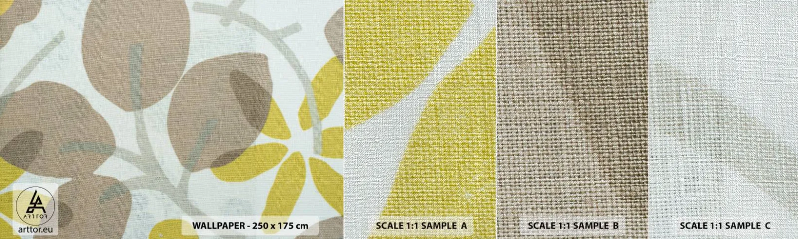 Fototapeten Muster Premium Canvas - Komposition in voller Sonne - Boho, Blumen, Minimalismus - 100x30 cm