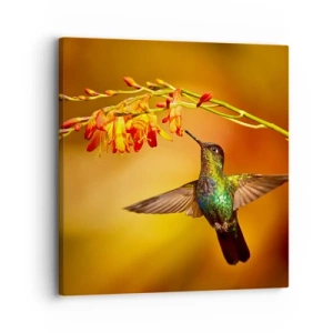 Bild auf Leinwand - Leinwandbild - Ein Lichtbote nach den Maya - 30x30 cm