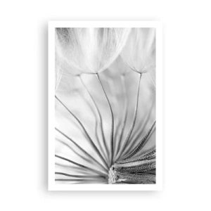 Poster - Löwenzahn, Drachen - 61x91 cm