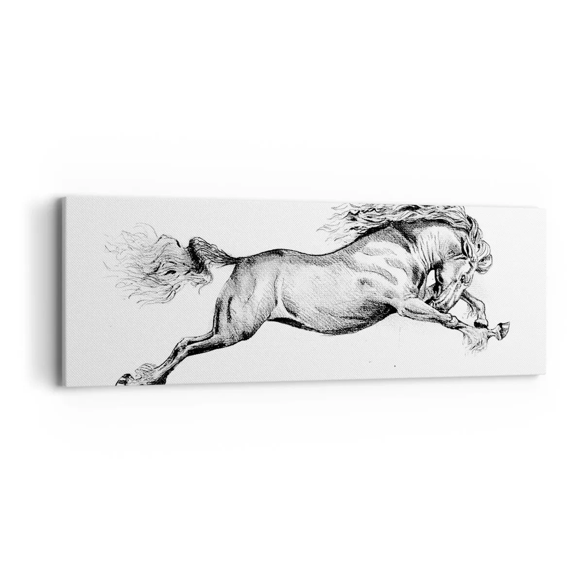 Bild auf Leinwand - Leinwandbild - Im Galopp festgehalten - 90x30 cm