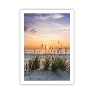 Poster - Strand mit Vegetation bei Sonnenaufgang - 50x70cm - Schau, denk, fühl - Moderne Wanddekoration für Wohnzimmer und Schlafzimmer ARTTOR