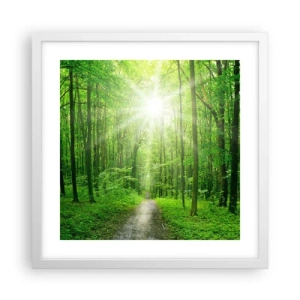 Poster in einem weißen Rahmen - Die grüne Kathedrale - 40x40 cm