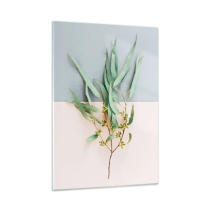Glasbild - Bild auf glas - Ein Zweig Eukalyptus auf pastellfarbenem Hintergrund - 50x70cm - Pastellige Subtilität - Moderne Wanddekoration für Wohnzimmer und Schlafzimmer ARTTOR