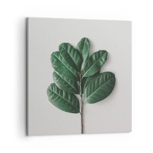 Bild auf Leinwand - Leinwandbild - Eine Zeichnung purer Natur - 50x50 cm