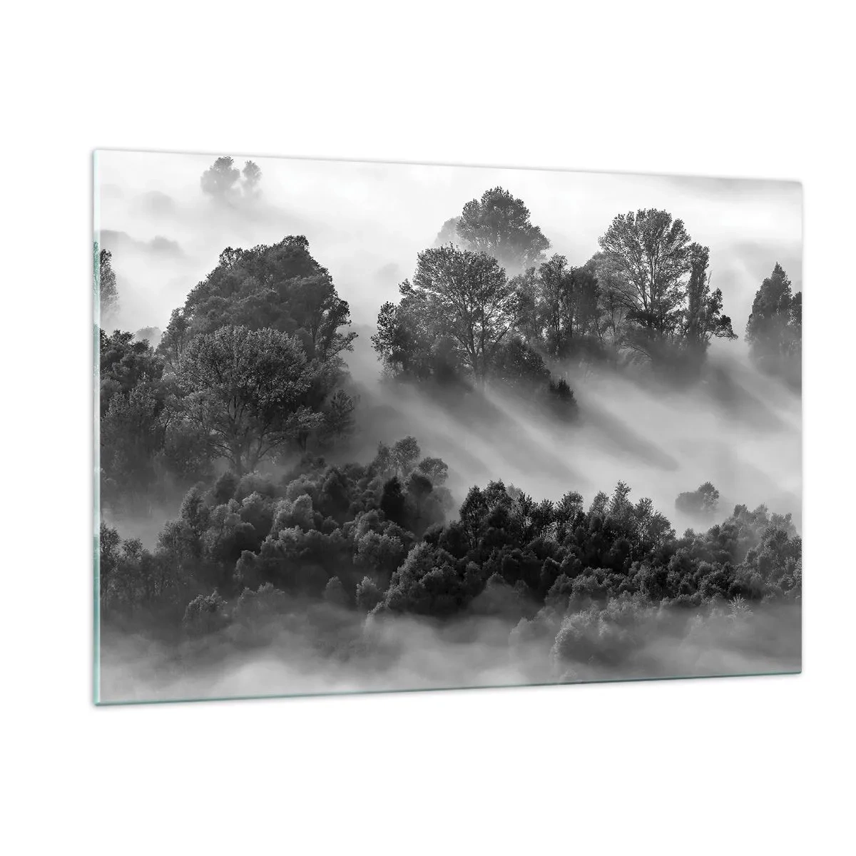 Glasbild - Bild auf glas - Nebliger Wald im Sonnenlicht in Schwarz und Weiß - 120x80cm - Aufstehend aus dem Schlaf - Moderne Wanddekoration für Wohnzimmer und Schlafzimmer ARTTOR