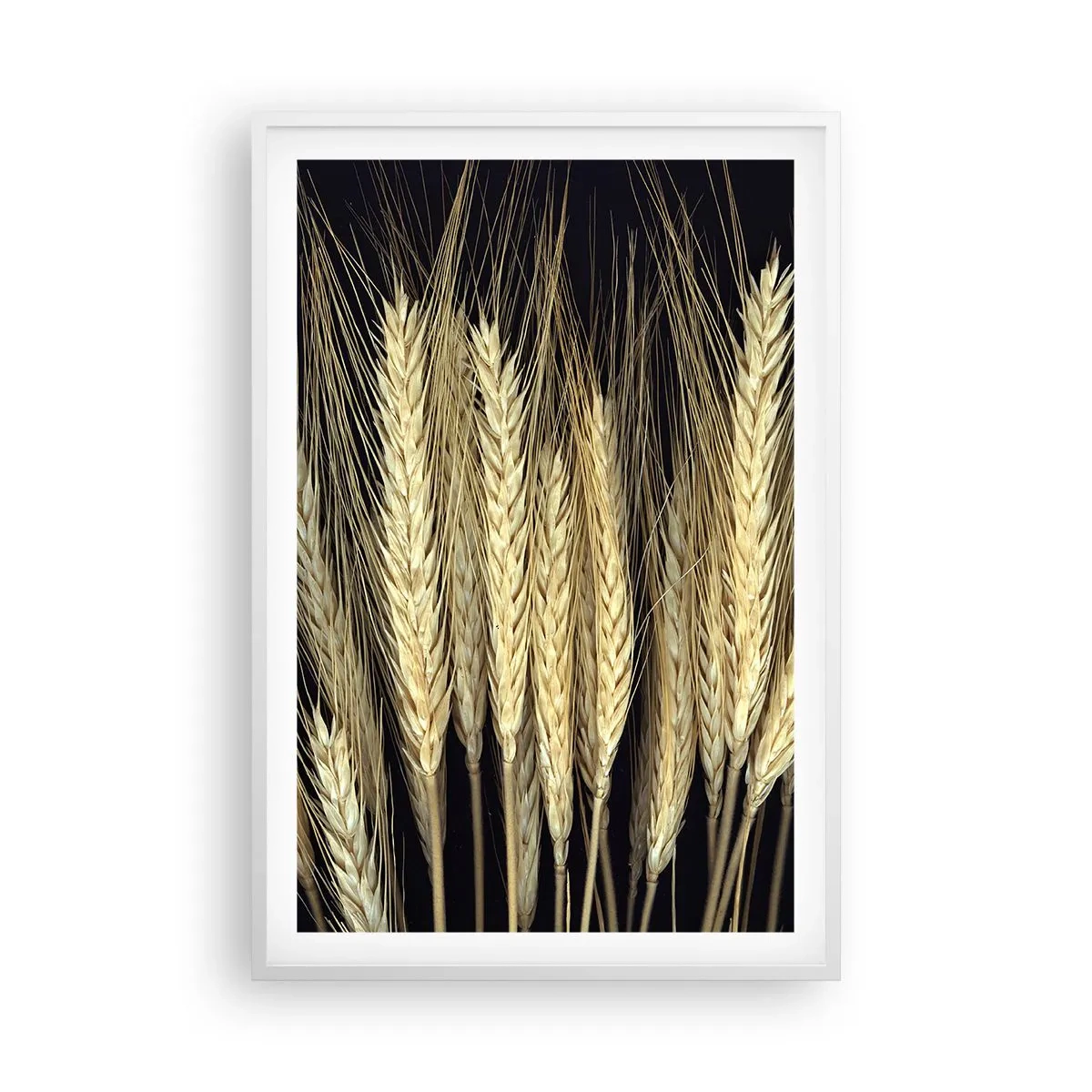 Poster in einem weißen Rahmen - Rustikale Magie - 61x91 cm