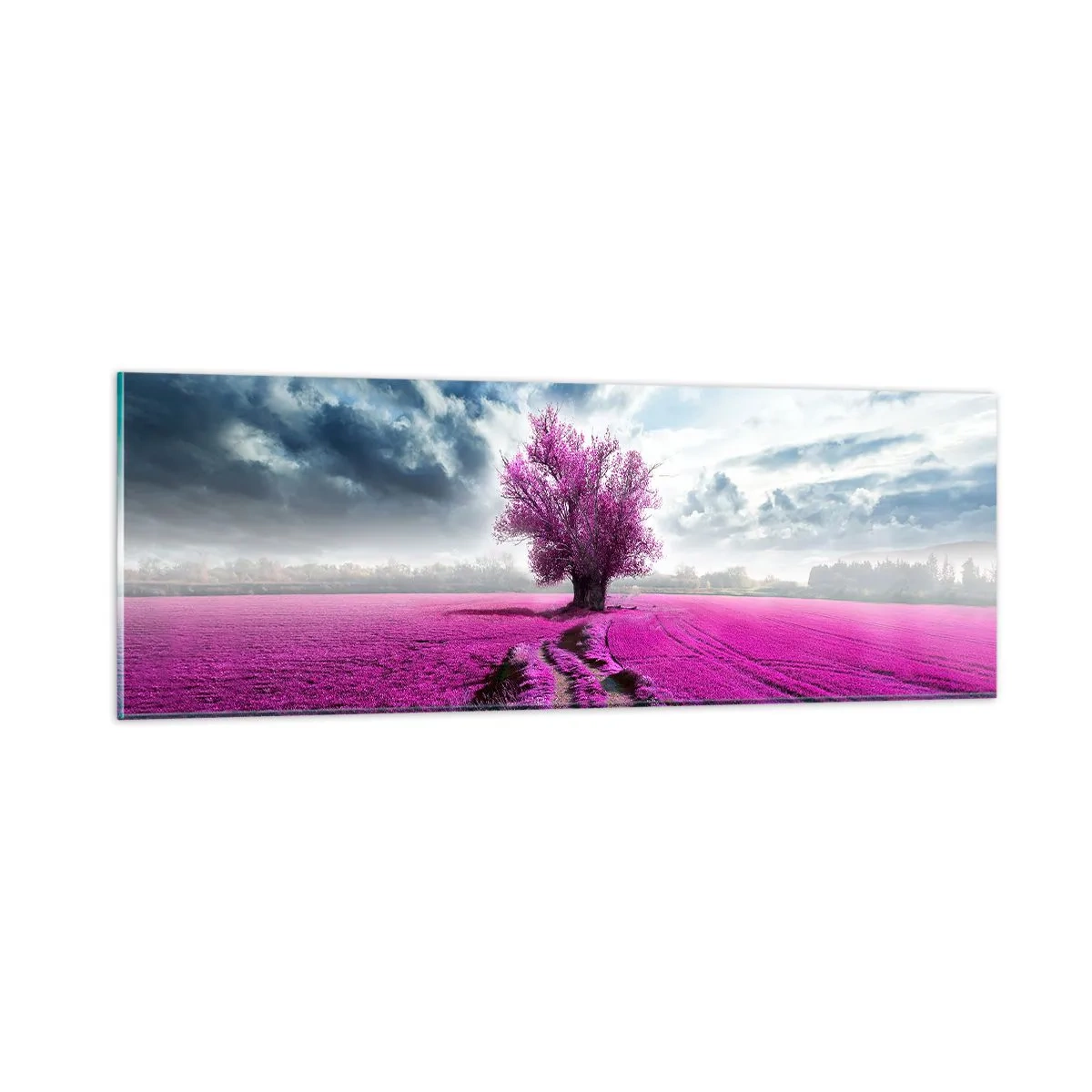 Glasbild - Bild auf glas - Heide - Wildnis - 90x30 cm