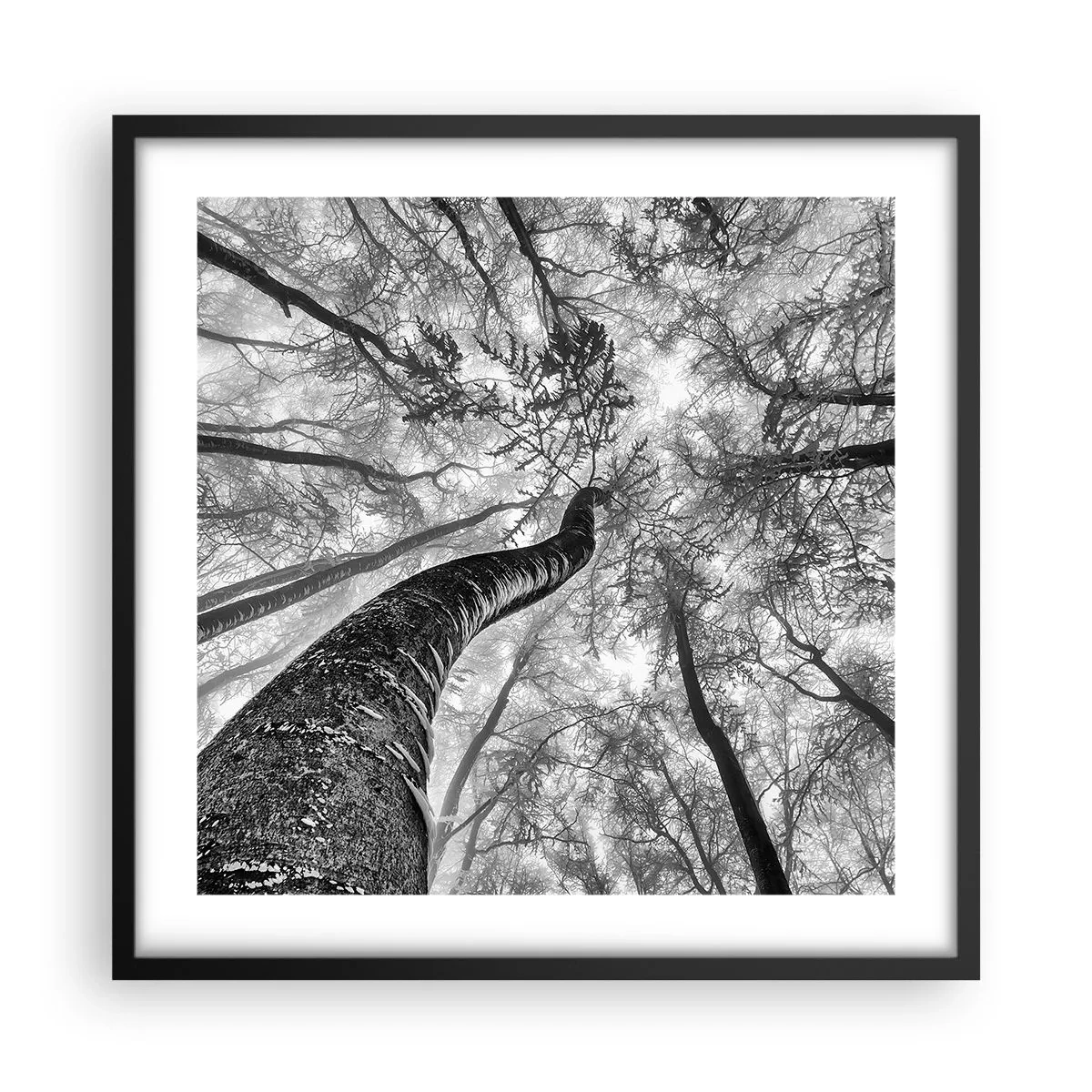 Poster in einem schwarzem Rahmen - Rennen zum Licht - 50x50 cm