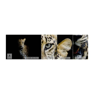 Fototapeten Muster Premium Canvas - Dunkle Schönheit - Tiere, Leopard, Wilde Katze - 100x30 cm