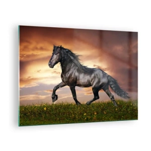 Glasbild - Bild auf glas - Ein schwarzes Pferd galoppiert gegen die untergehende Sonne - 70x50cm - Schwarzer Prinz - Moderne Wanddekoration für Wohnzimmer und Schlafzimmer ARTTOR