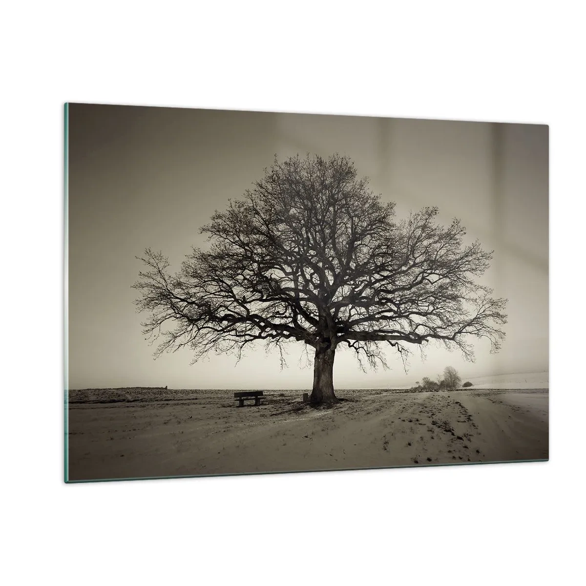 Glasbild - Bild auf glas - Ein einsamer Baum in einer monochromen Landschaft - 120x80cm - Von hier zu Ewigkeit - Moderne Wanddekoration für Wohnzimmer und Schlafzimmer ARTTOR