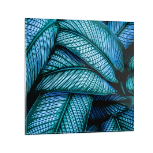 Glasbild - Bild auf glas - Lebenslinien - 40x40 cm