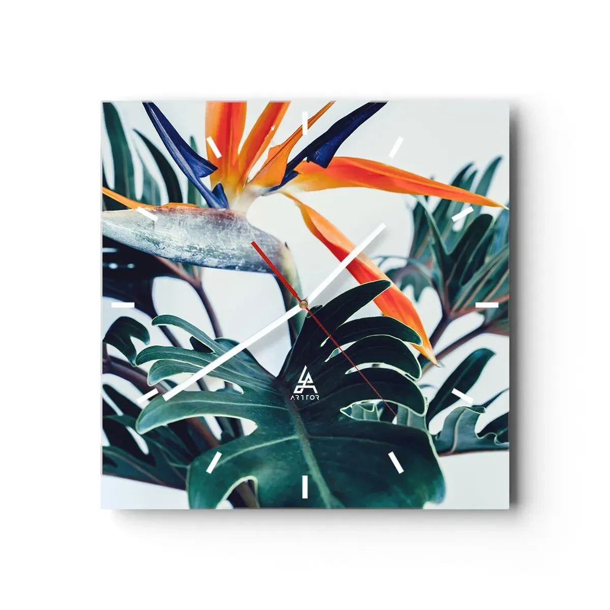 Wanduhr - Glasuhr - Strelitzia-Blüte, umgeben von Blättern in hellem Licht - 30x30cm - Vogelbusch - Moderne Wanddekoration für Wohnzimmer und Schlafzimmer ARTTOR