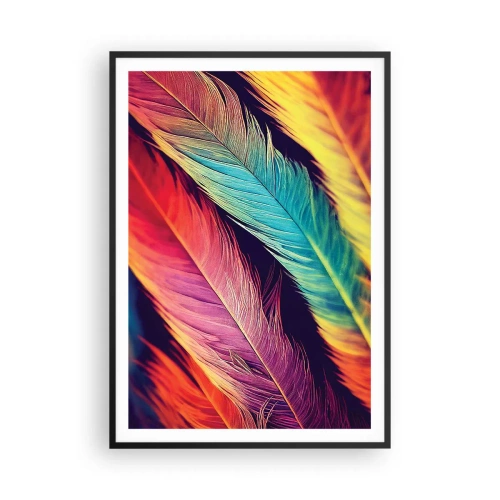 Poster in einem schwarzem Rahmen - Gefiederter Regenbogen - 70x100 cm