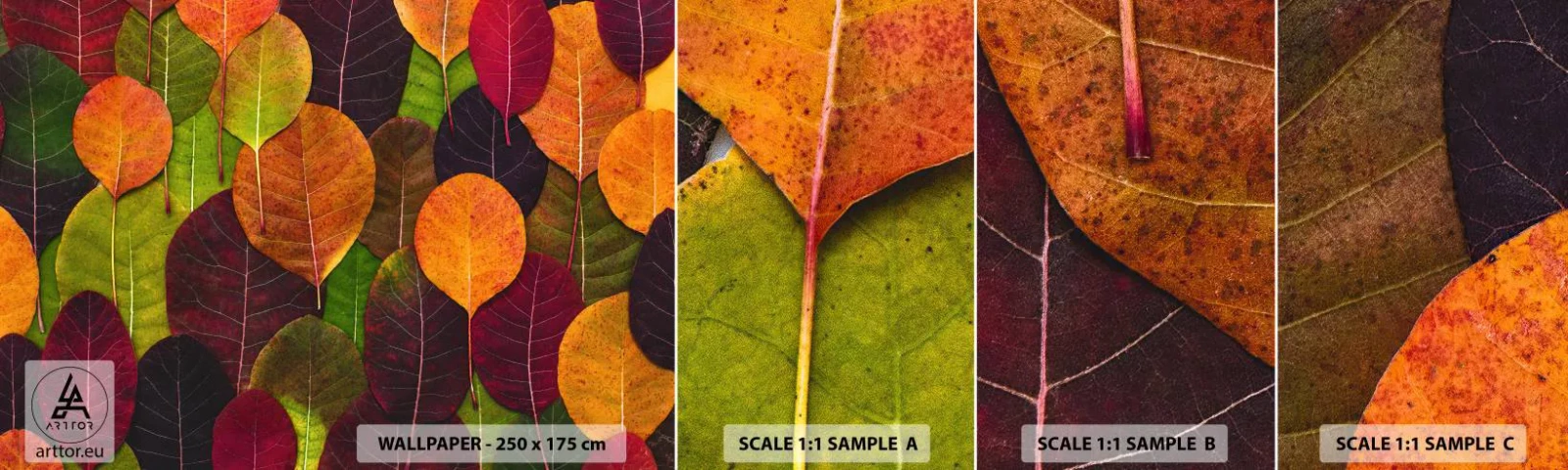 Fototapetenmuster Standard Eco - Herbstmosaik - Grafik, Bunte Blätter, Stück - 100x30 cm