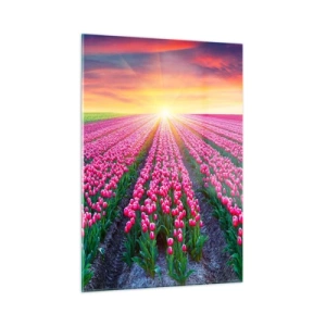 Glasbild - Bild auf glas - Ein Feld mit rosa Tulpen in den Strahlen der untergehenden Sonne - 50x70cm - Schönheitsfarm - Moderne Wanddekoration für Wohnzimmer und Schlafzimmer ARTTOR