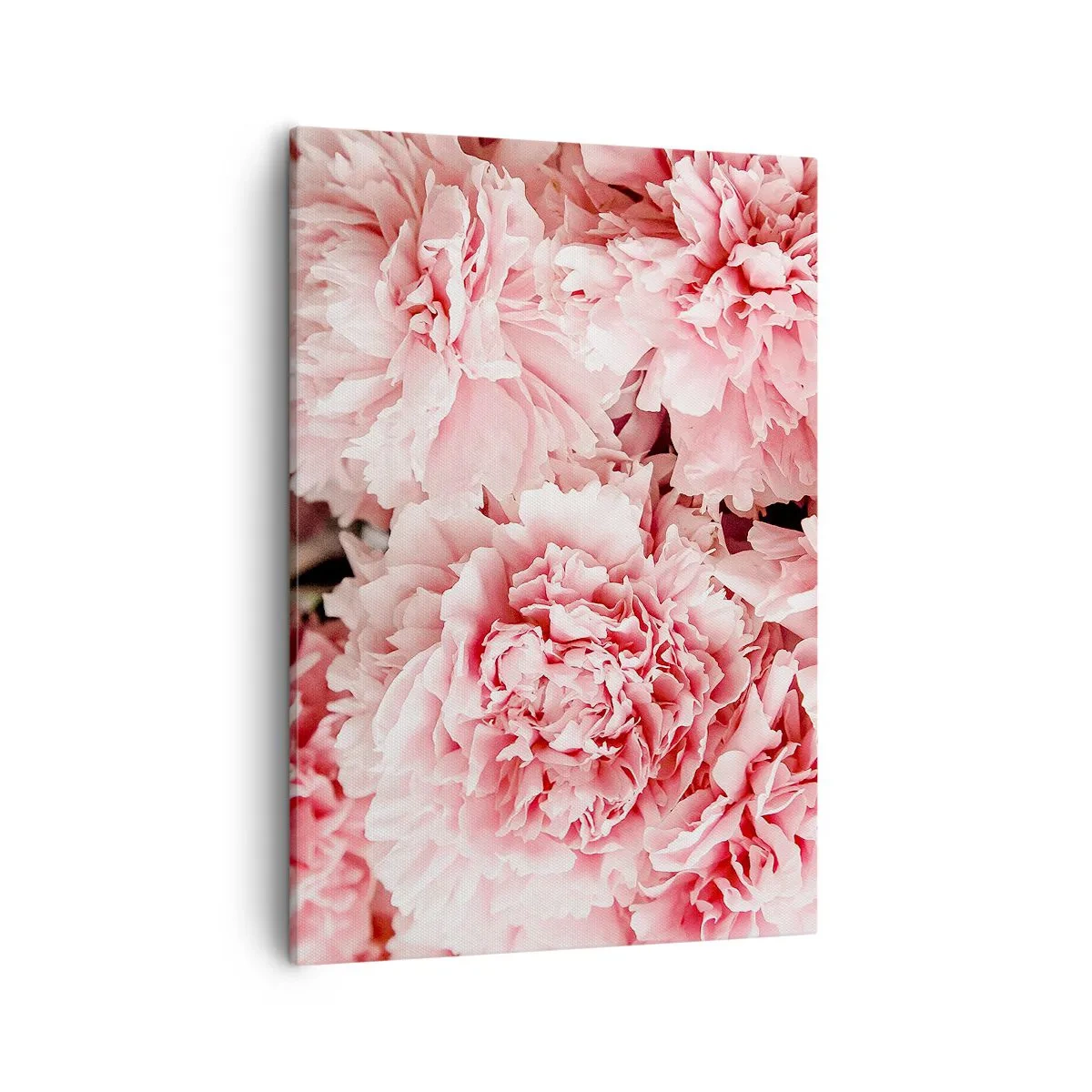 Bild auf Leinwand - Leinwandbild - Zarte rosa Pfingstrosen in zartem Ambiente - 50x70cm - Rosa Traum - Moderne Wanddekoration für Wohnzimmer und Schlafzimmer ARTTOR