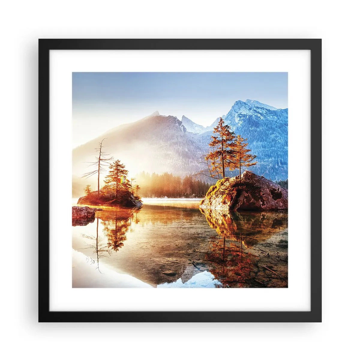 Poster in einem schwarzem Rahmen - Natur in neuem Licht - 40x40 cm