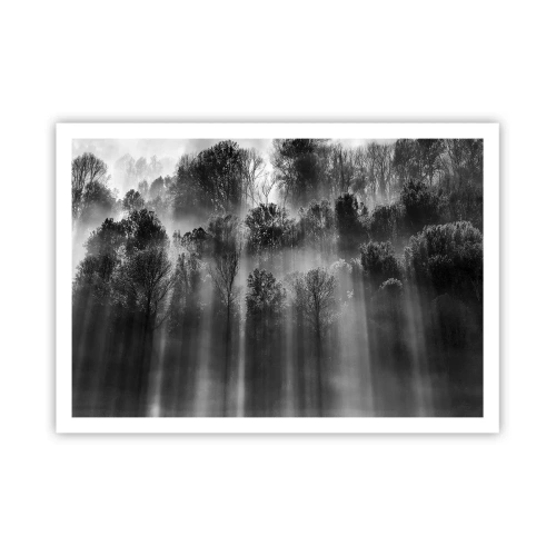 Poster - Schwarz-weißer Wald im Morgenlicht - 100x70cm - In Lichtstrahlen - Moderne Wanddekoration für Wohnzimmer und Schlafzimmer ARTTOR
