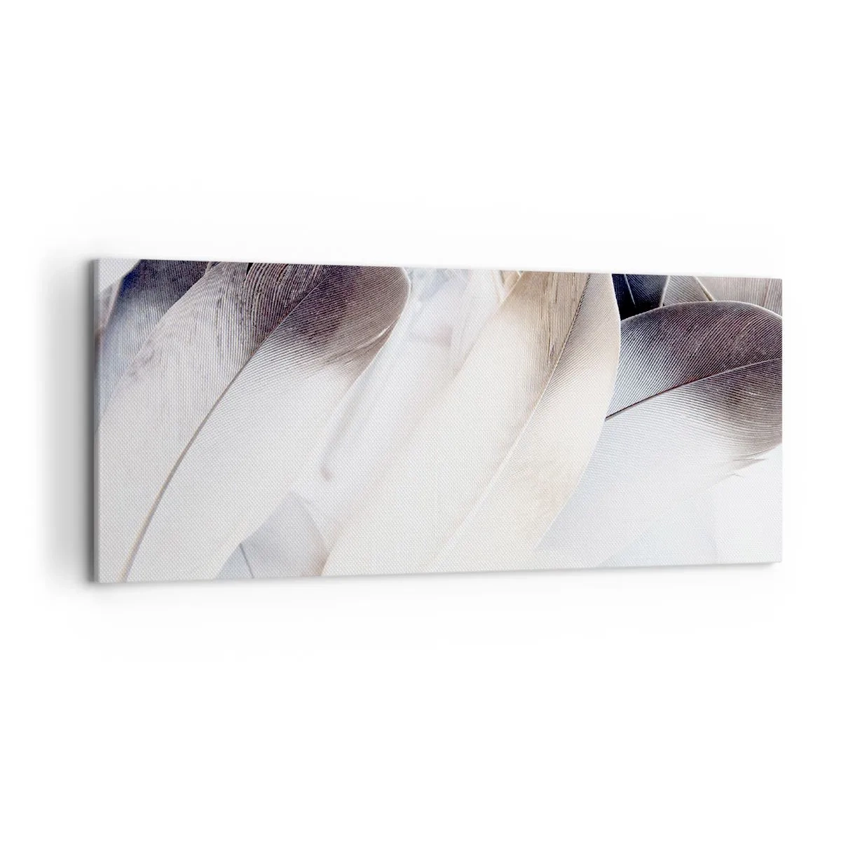 Bild auf Leinwand - Leinwandbild - Nahaufnahme zarter Federn in Weiß- und Grautönen - 120x50cm - Fast engelhaft - Moderne Wanddekoration für Wohnzimmer und Schlafzimmer ARTTOR