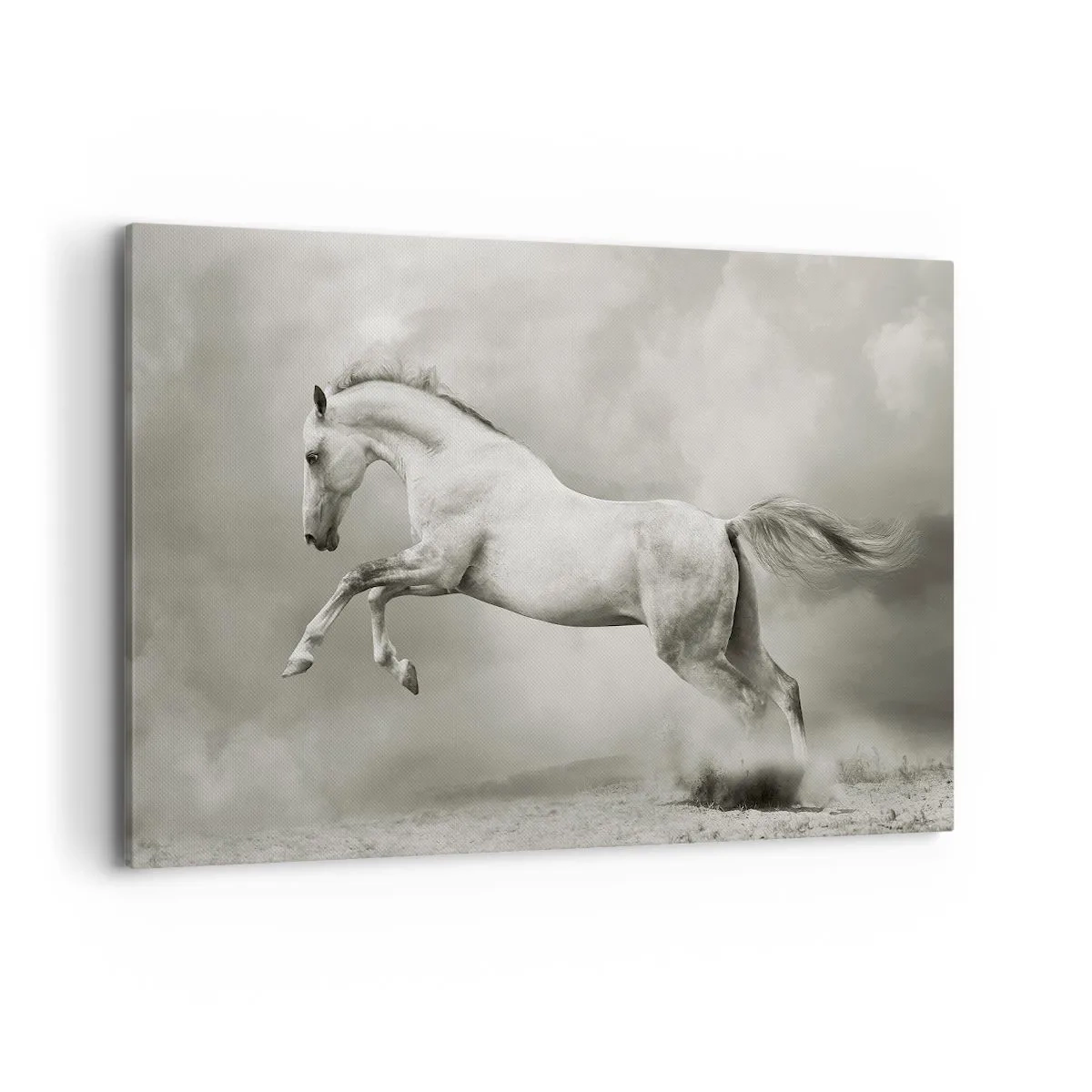 Bild auf Leinwand - Leinwandbild - Ein weißes Pferd in einem dynamischen Sprung vor dem Hintergrund nebliger Wolken. - 120x80cm - Zwischen Aufwachen und Schlafen - Moderne Wanddekoration für Wohnzimmer und Schlafzimmer ARTTOR