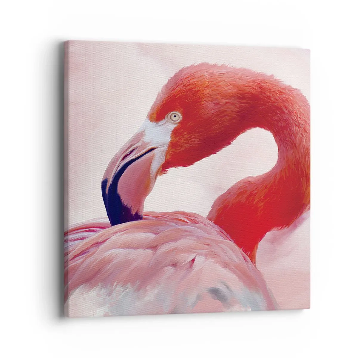 Bild auf Leinwand - Leinwandbild - Vogel Schönheit - 40x40 cm