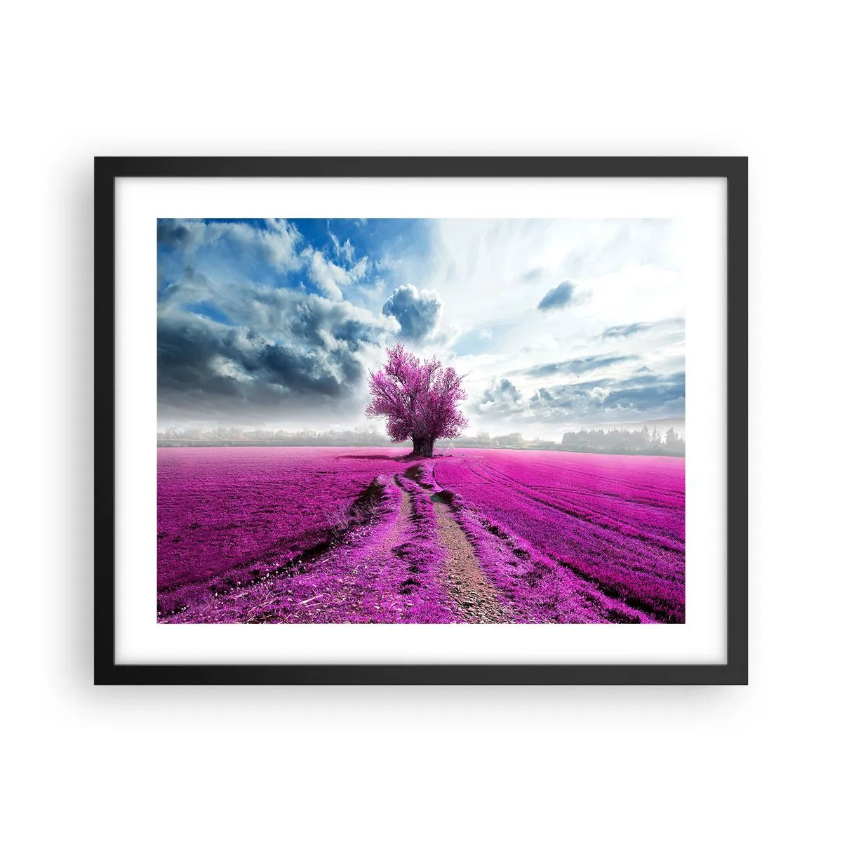 Poster in einem schwarzem Rahmen - Heide - Wildnis - 50x40 cm