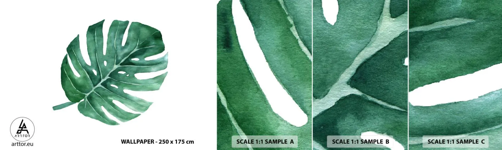 Fototapetenmuster Standard Eco - Grünes Konzept - Monstera, Blatt, Boho - 100x30 cm