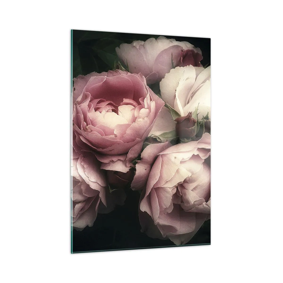 Glasbild - Bild auf glas - Ein Strauß rosa Rosen in sanfter Beleuchtung mit Vintage-Touch - 50x70cm - Der Charme der Belle Epoque - Moderne Wanddekoration für Wohnzimmer und Schlafzimmer ARTTOR