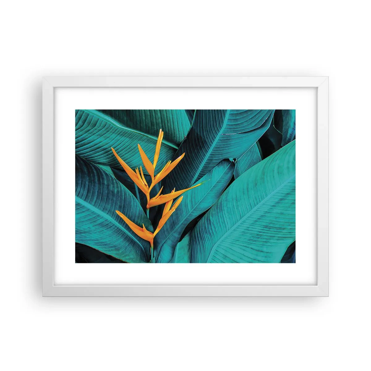 Poster in einem weißen Rahmen - Eden-Blume - 40x30 cm