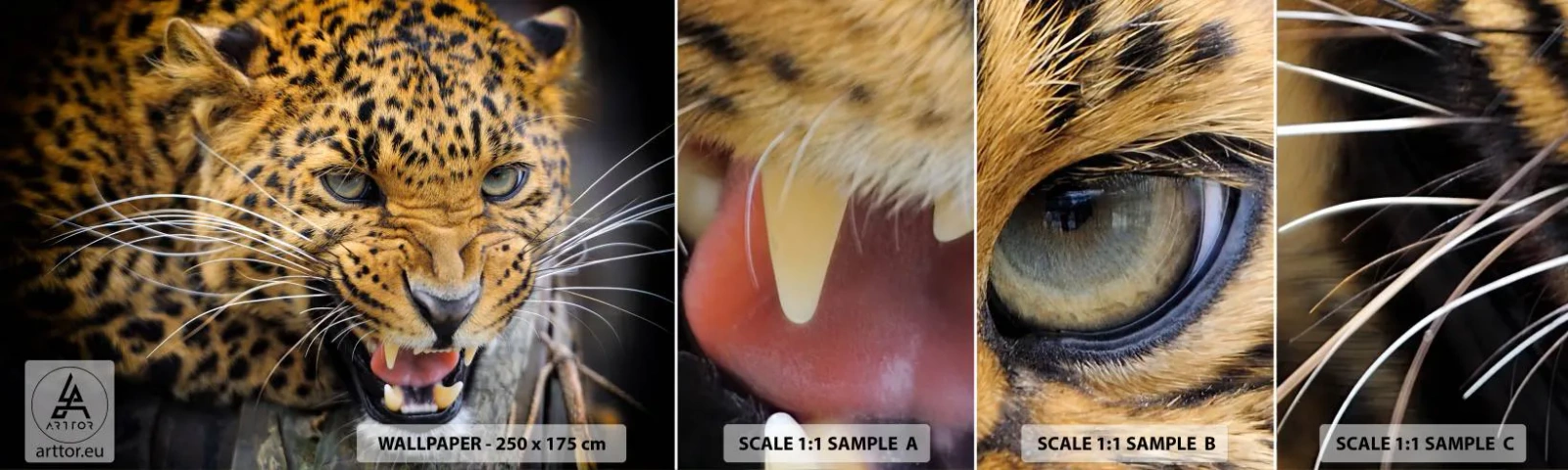 Fototapetenmuster Standard Eco - Bleib zurück, ich warne dich! - Tiere, Leopard, Wilde Katze - 100x30 cm