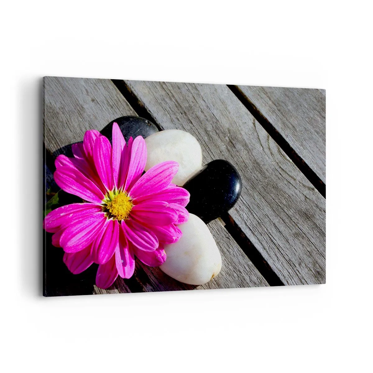 Bild auf Leinwand - Leinwandbild - Rosa Blume auf einem Hintergrund aus Holzbrettern mit Steinen - 120x80cm - Ruhe auf dem Pier - Moderne Wanddekoration für Wohnzimmer und Schlafzimmer ARTTOR