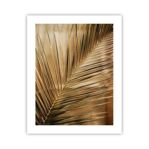 Poster - Natürliche Kolonnade - 40x50 cm