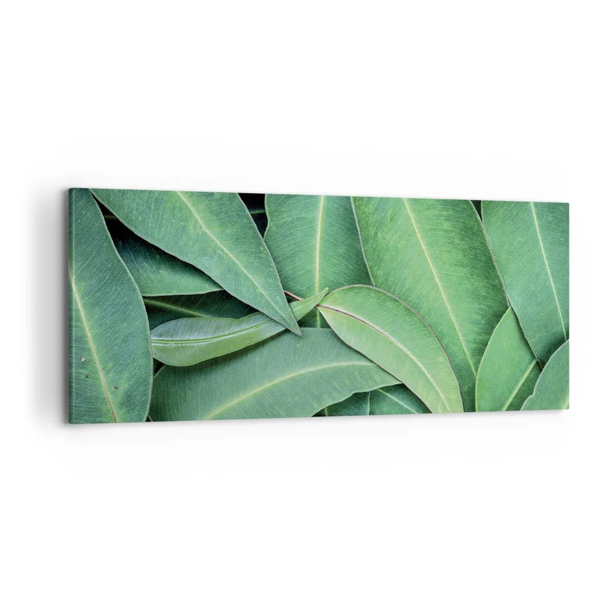 Bild auf Leinwand - Leinwandbild - Saftig und frisch - 100x40 cm