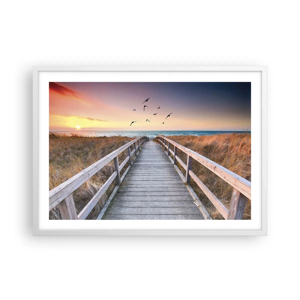 Poster in einem weißen Rahmen - Der Raum für Auffliegen - 70x50 cm