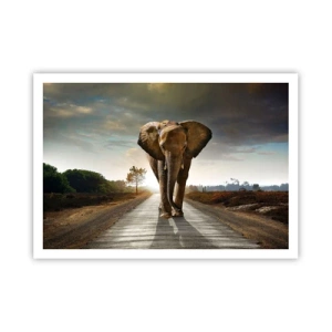Poster - Ein Elefant, der bei Sonnenuntergang auf einer Straße durch eine Landschaft läuft - 100x70cm - Und schon gar nicht in einem Porzellanlager - Moderne Wanddekoration für Wohnzimmer und Schlafzimmer ARTTOR