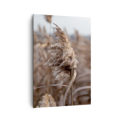 Bild auf Leinwand - Leinwandbild - Zarte Gräser in Beigetönen vor dem Hintergrund der Natur - 70x100cm - Zeit, mit dem Wind zu gehen - Moderne Wanddekoration für Wohnzimmer und Schlafzimmer ARTTOR