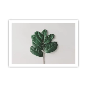 Poster - Eine Zeichnung purer Natur - 91x61 cm