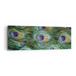 Bild auf Leinwand - Leinwandbild - Ein Blick mit Pfauenaugen - 90x30 cm