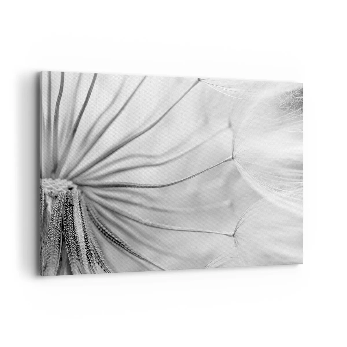 Bild auf Leinwand - Leinwandbild - Zarte Pusteblumen in Schwarz-Weiß-Tönen - 120x80cm - Löwenzahn, Drachen - Moderne Wanddekoration für Wohnzimmer und Schlafzimmer ARTTOR
