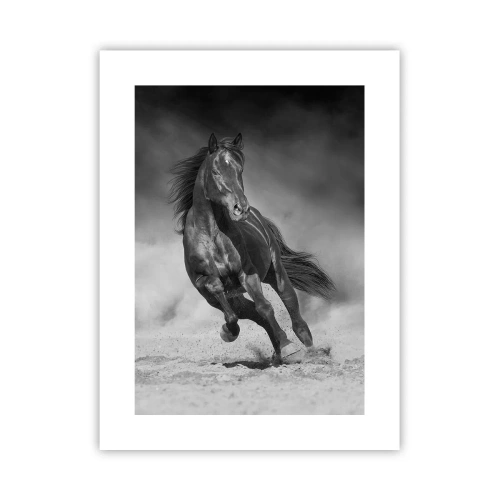 Poster - Würdig des Emirs selbst - 30x40 cm