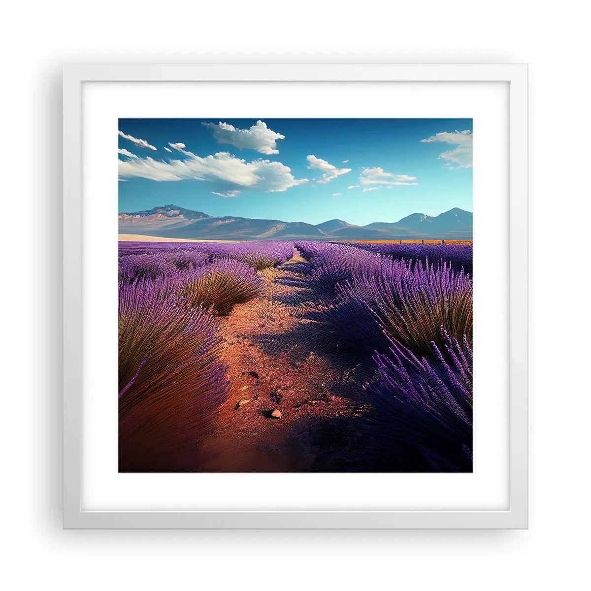 Poster in einem weißen Rahmen - Duftende Felder - 40x40 cm