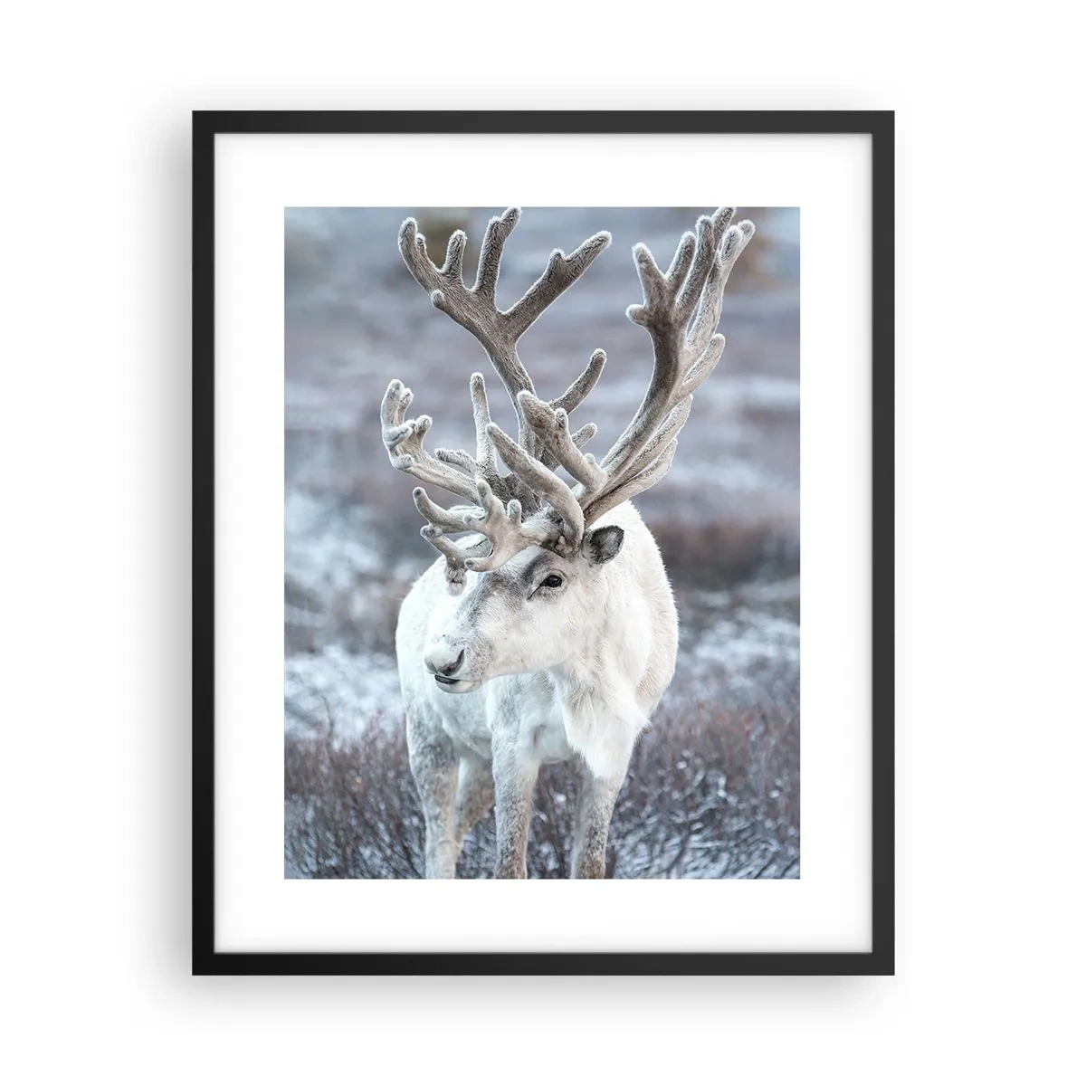 Poster in einem schwarzem Rahmen - Porträt in der Sonne - 40x50 cm