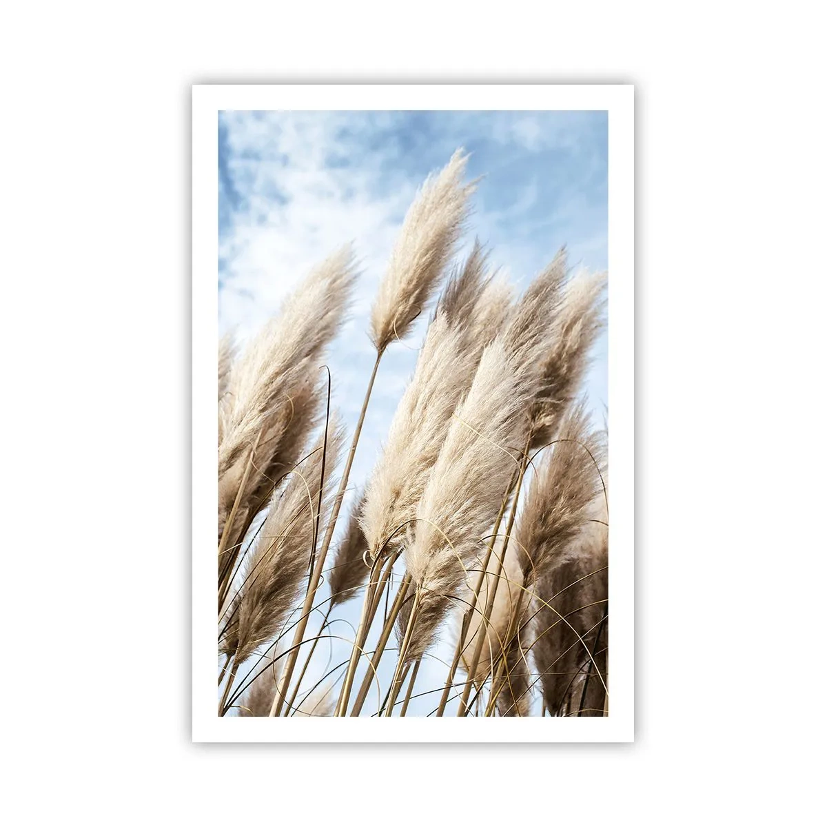 Poster - Sonnige und windige Liebkosungen - 61x91 cm