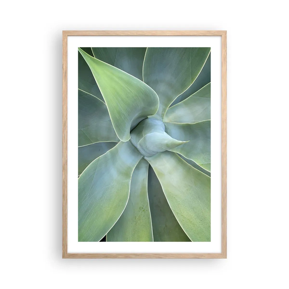 Poster in einem Rahmen aus heller Eiche - Geburt des Grüns - 50x70 cm