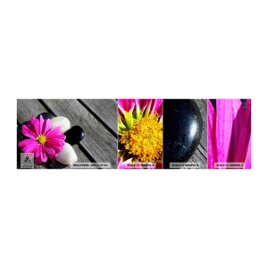 Fototapeten Muster Selbstklebend Deluxe Sticker - Ruhe auf dem Pier - Blume, Steine, Holzbrücke - 100x30 cm