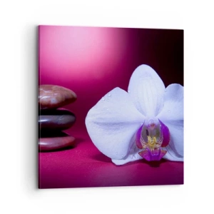 Bild auf Leinwand - Leinwandbild - Eine Studie der Frische in Lila - 70x70 cm