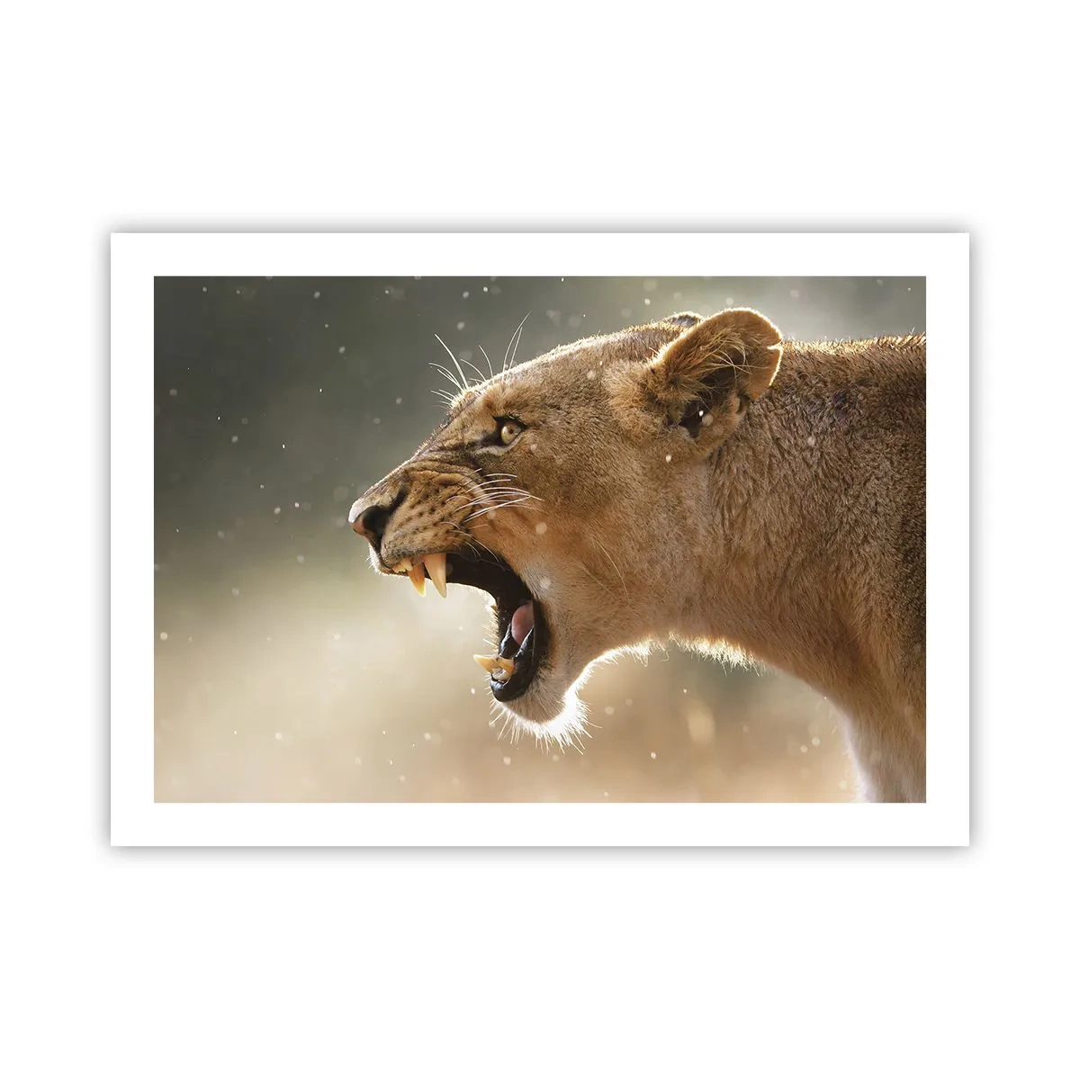 Poster - Versuch, nicht zuzuhören - 70x50 cm